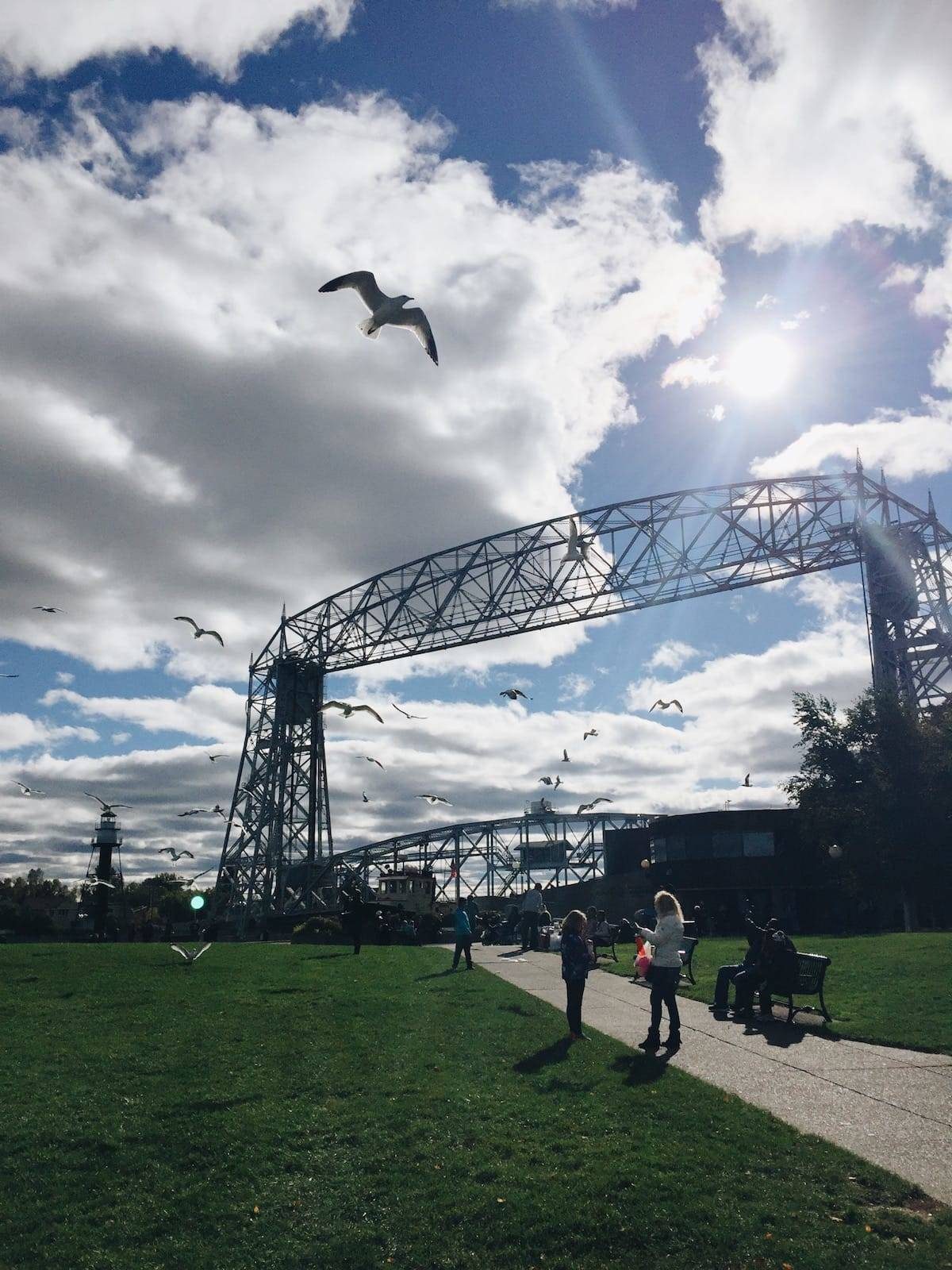 Seagull flying near life bridge.