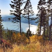 A lake with trees in Montana.